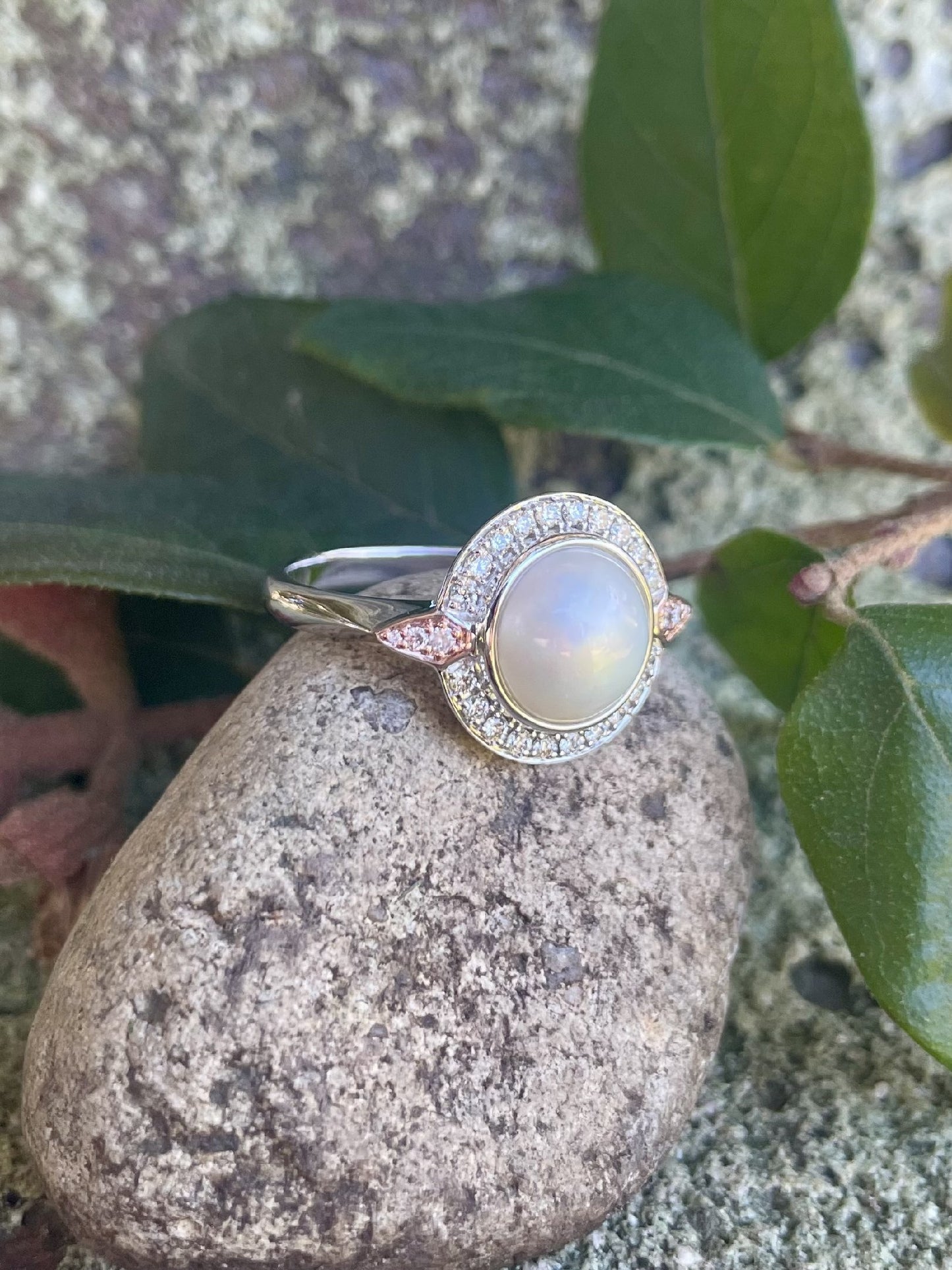 9ct White/Rose Gold Pearl & Pink Diamond Ring