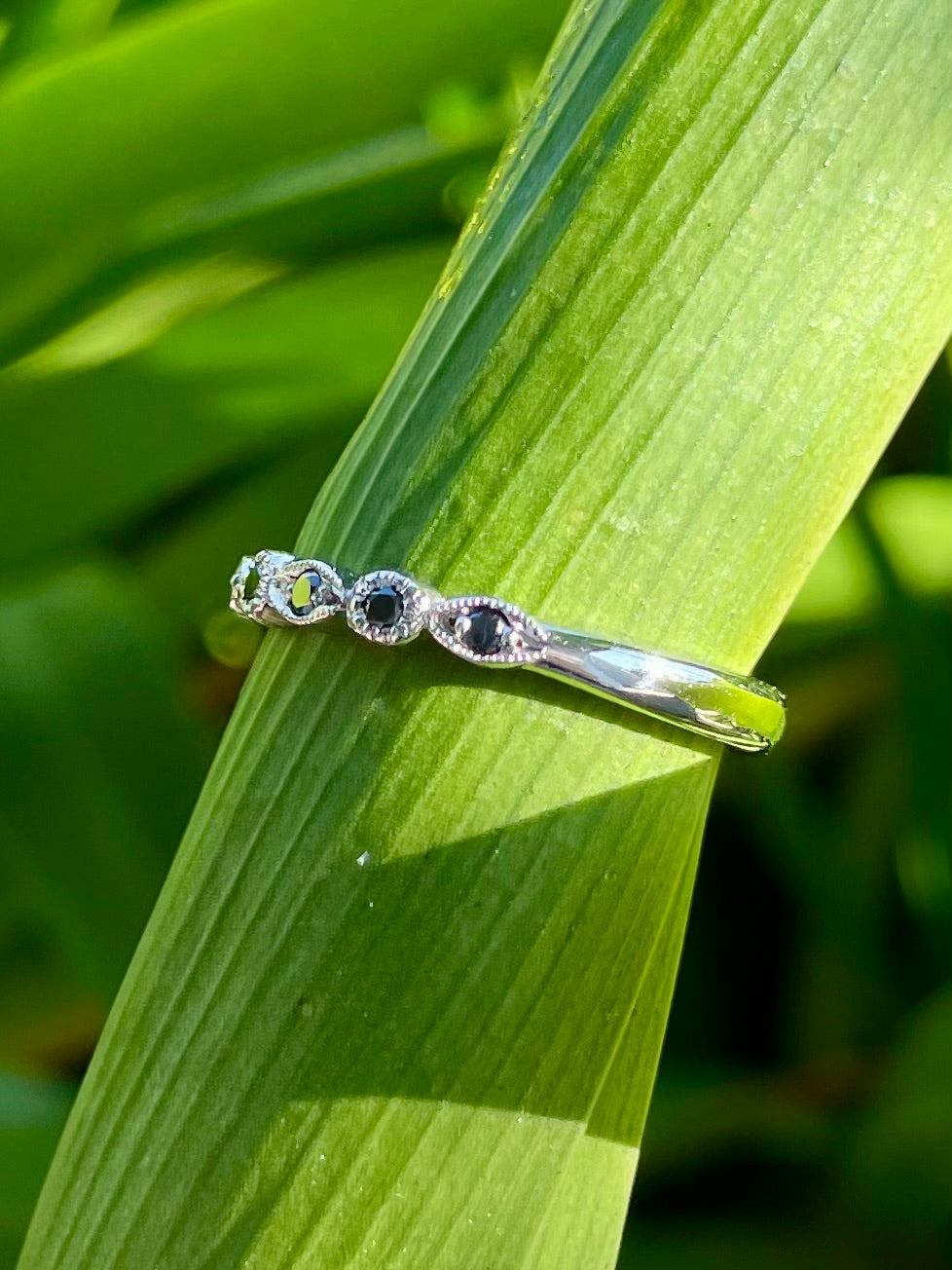 9ct White Gold Black Diamond Wedder