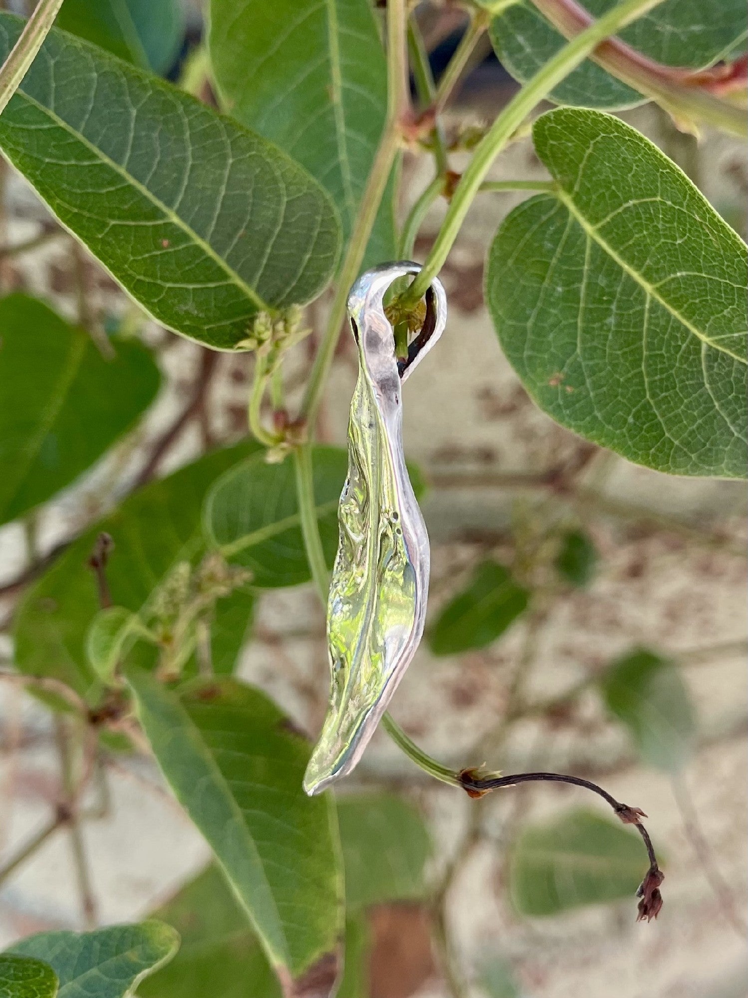 Sterling Silver Gumleaf Pendant (L7)