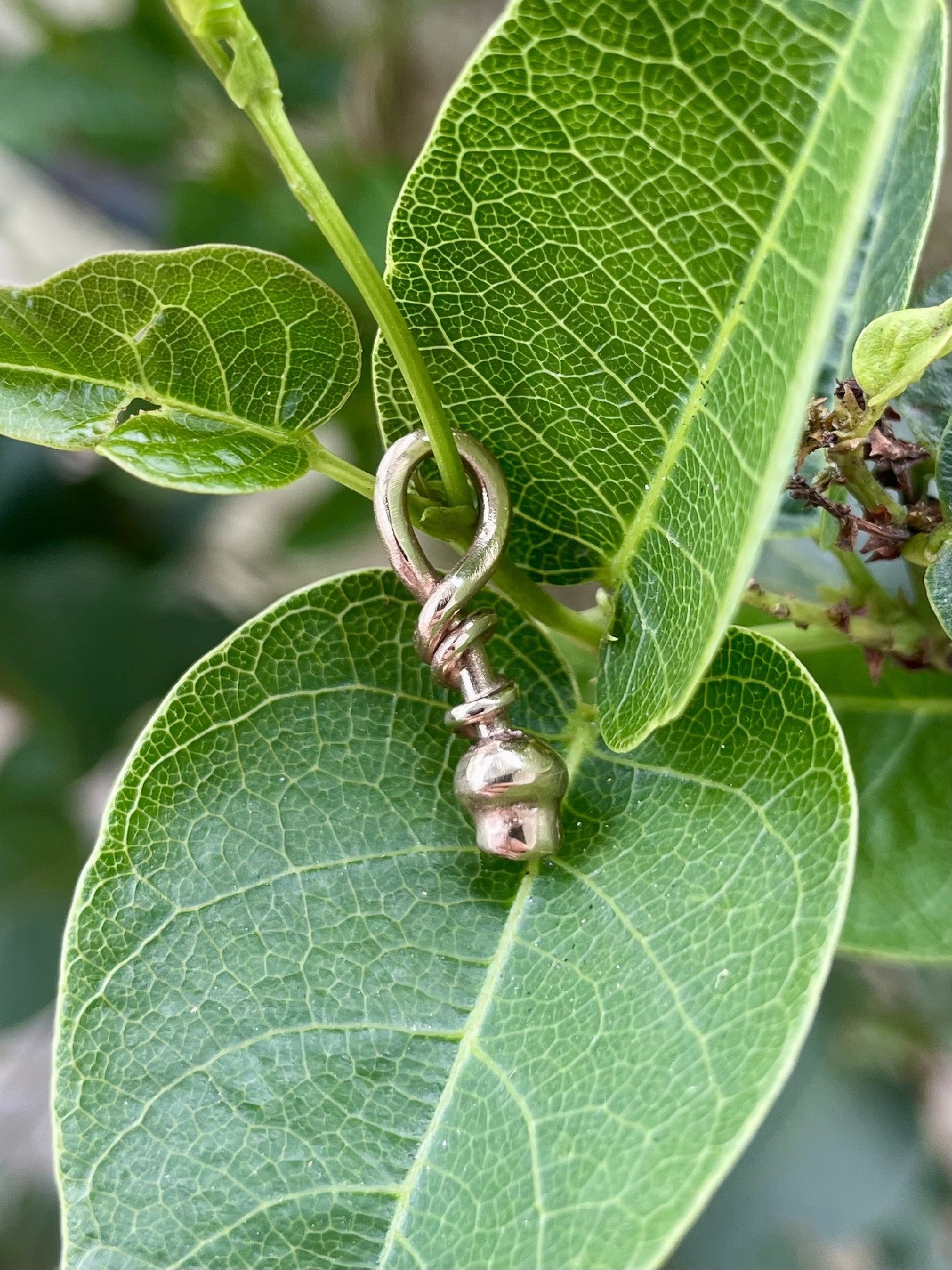 9ct Rose Gold XS Gumnut Pendant